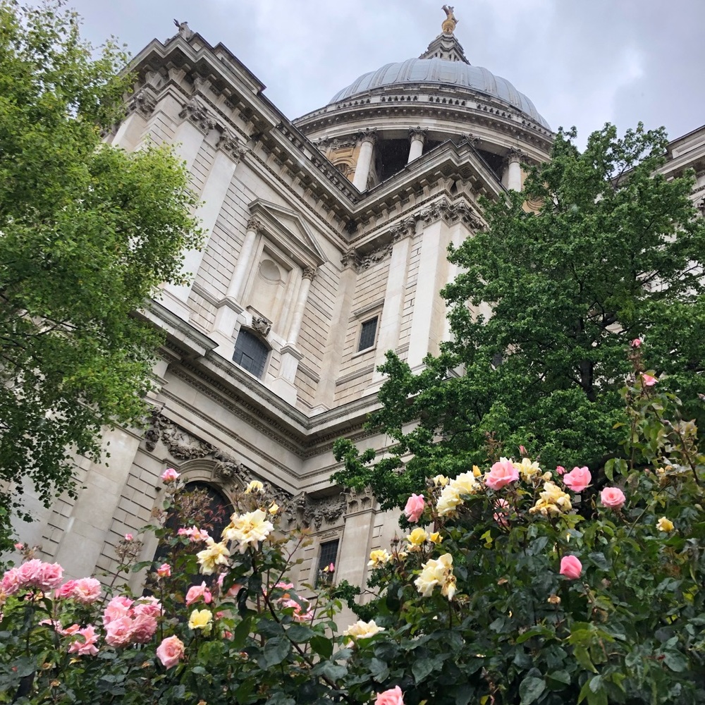 Meet your Posher, Olivia